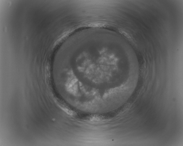 X0000080120303200612302017