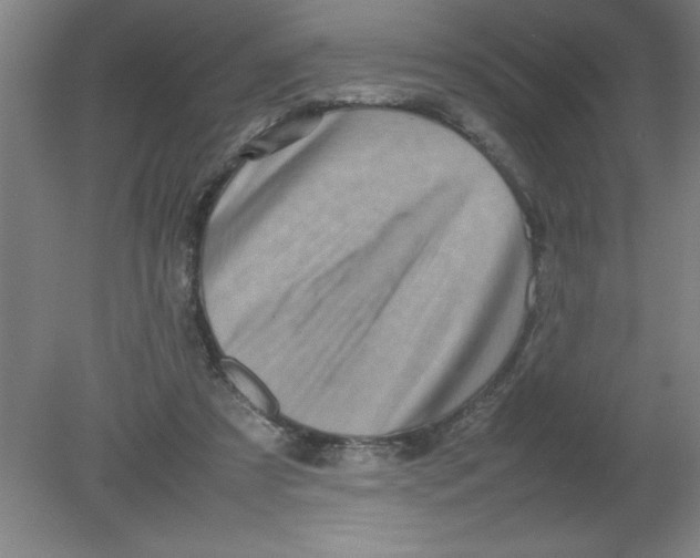 X0000080120305200612302017