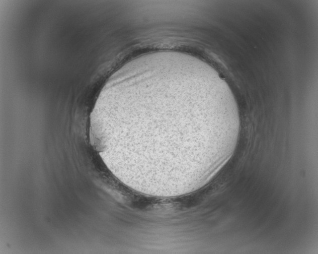 X0000080120307200612302017