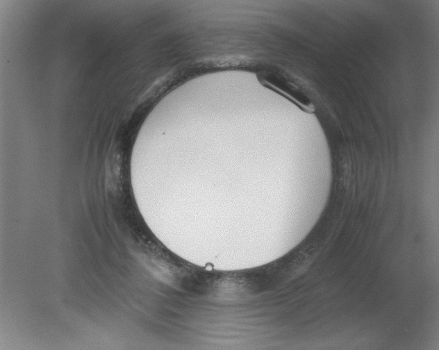 X0000080120308200612302017