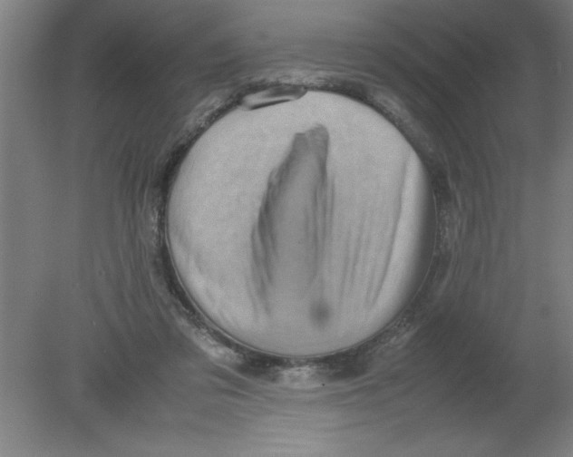 X0000080120309200612302017