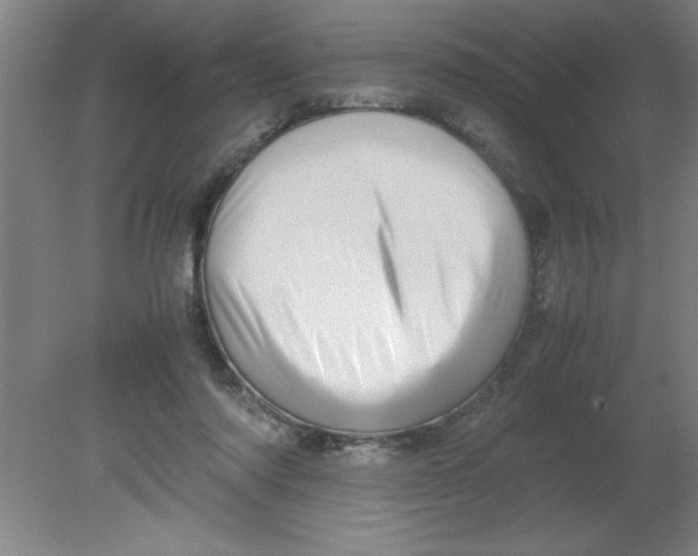 X0000080120310200612302017