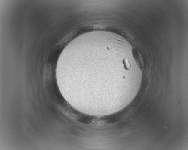 X0000080120311200612302017