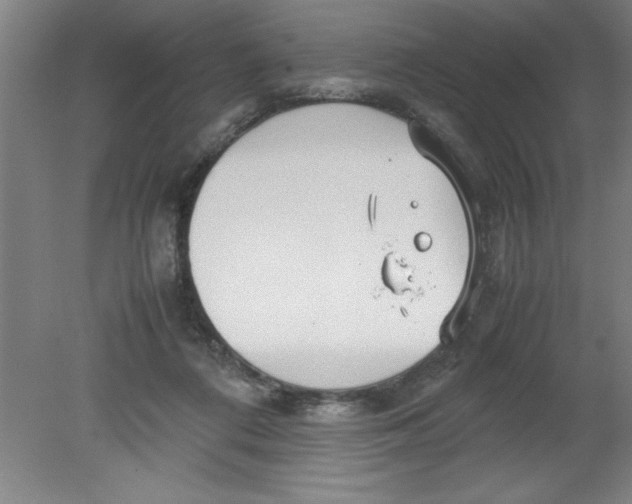 X0000080120312200612302017