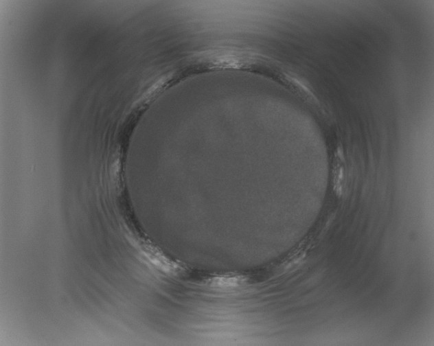 X0000080120314200612302017