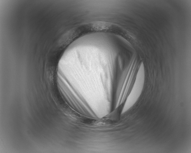 X0000080120315200612302017