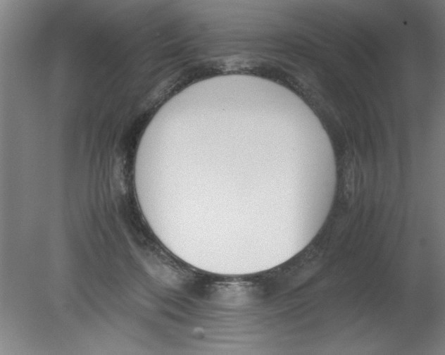 X0000080120316200612302017