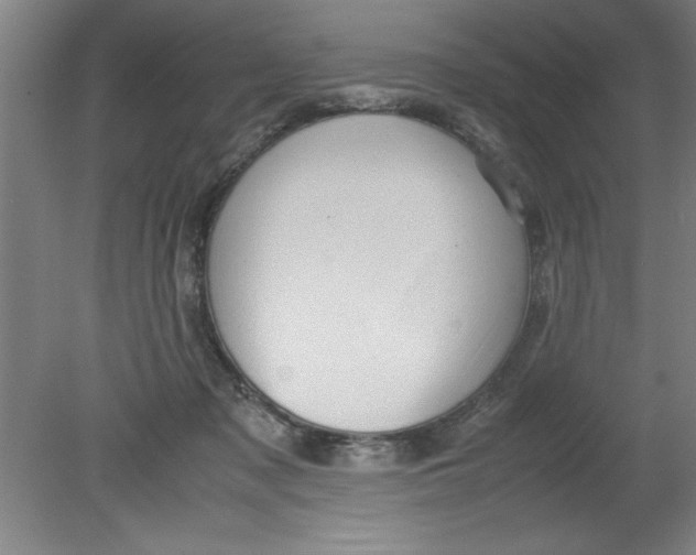 X0000080120317200612302017