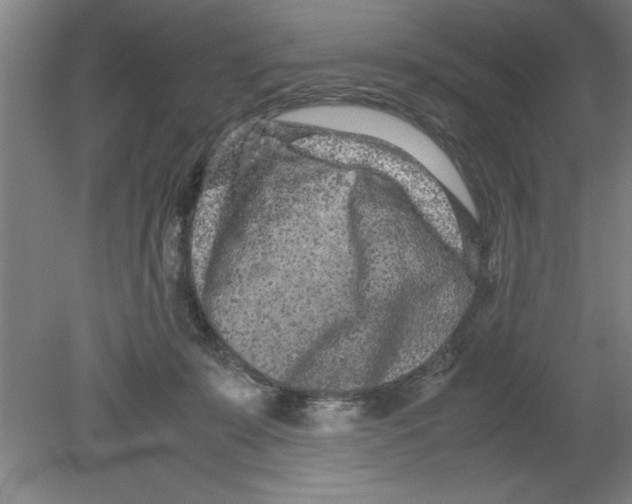 X0000080120319200612302017