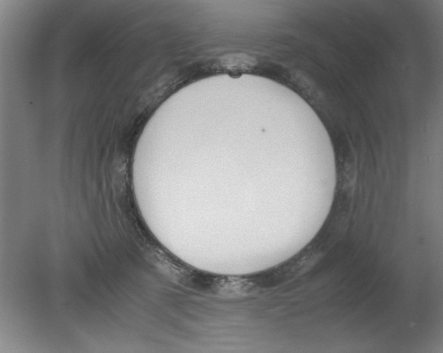 X0000080120321200612302017