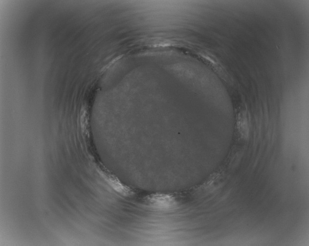 X0000080120322200612302017