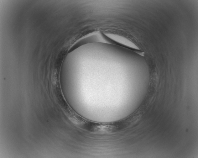 X0000080120323200612302017