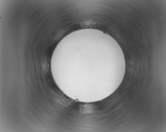 X0000080120324200612302017