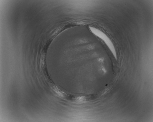 X0000080120325200612302017