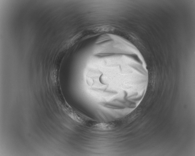 X0000080120326200612302017