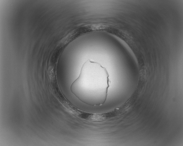 X0000080120327200612302017