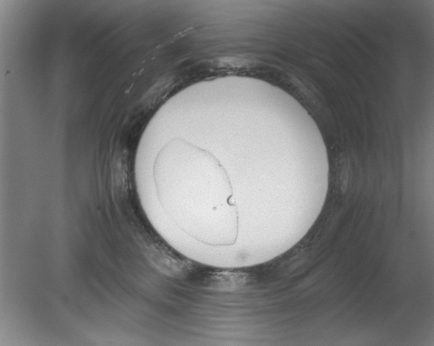 X0000080120328200612302017