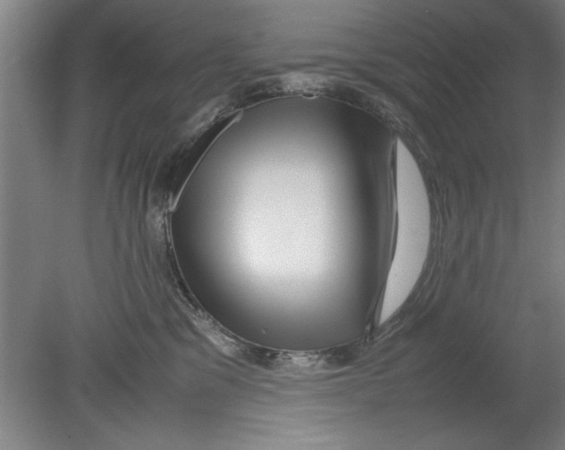 X0000080120329200612302017