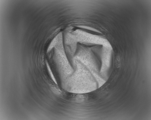 X0000080120330200612302017