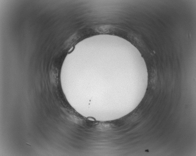 X0000080120332200612302017