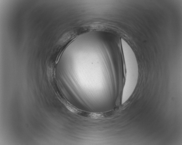 X0000080120333200612302017