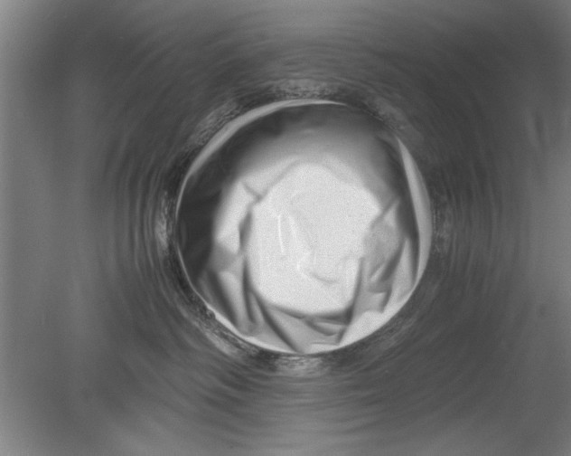 X0000080120334200612302017