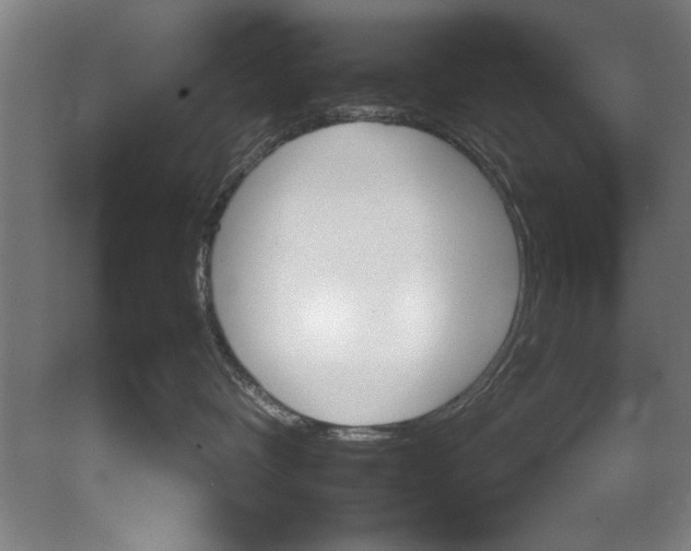 X0000080120336200612302016