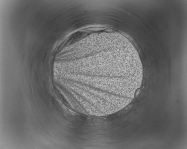 X0000080120337200612302016