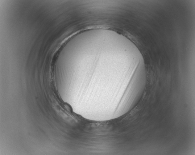 X0000080120338200612302016