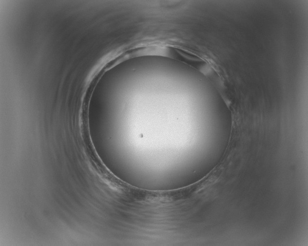 X0000080120340200612302016