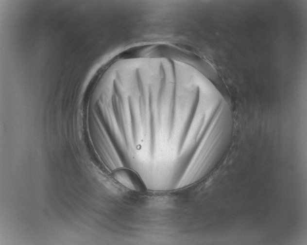 X0000080120342200612302016