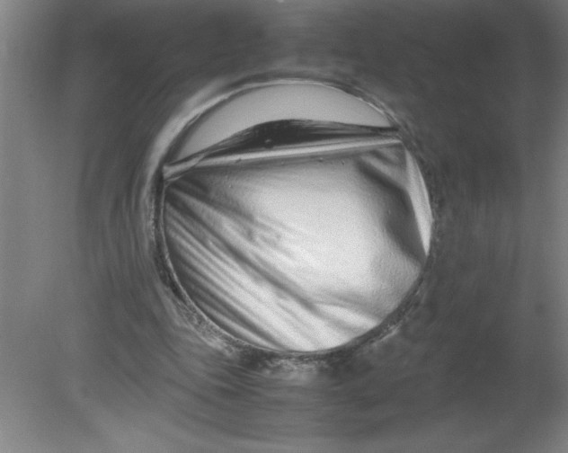 X0000080120343200612302016