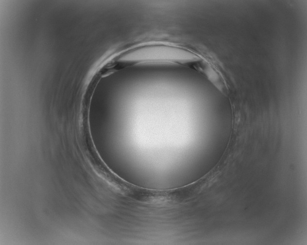 X0000080120344200612302016