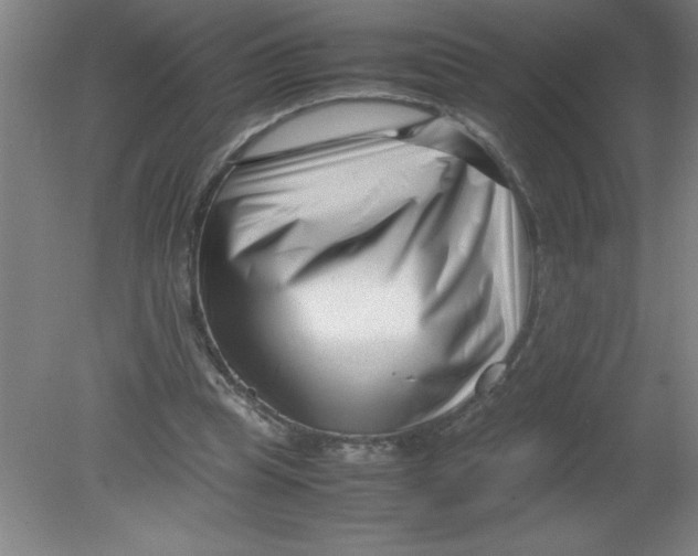 X0000080120345200612302016