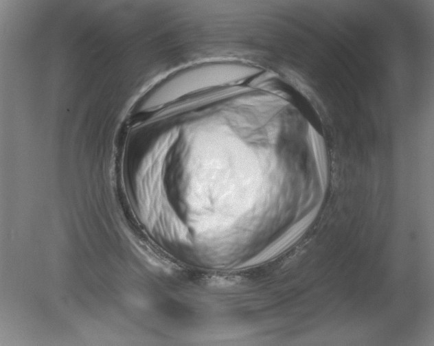 X0000080120346200612302016