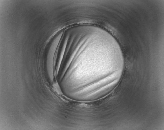 X0000080120347200612302016