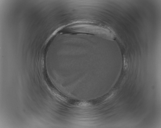 X0000080120348200612302016