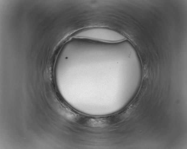 X0000080120351200612302016