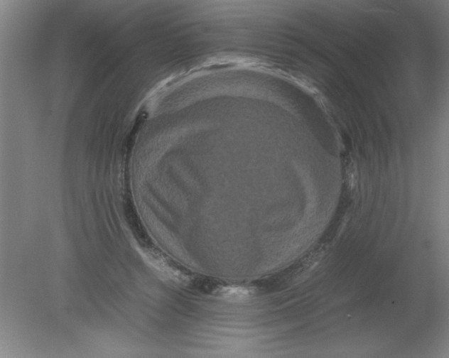 X0000080120352200612302016