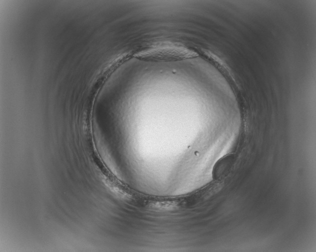 X0000080120353200612302016