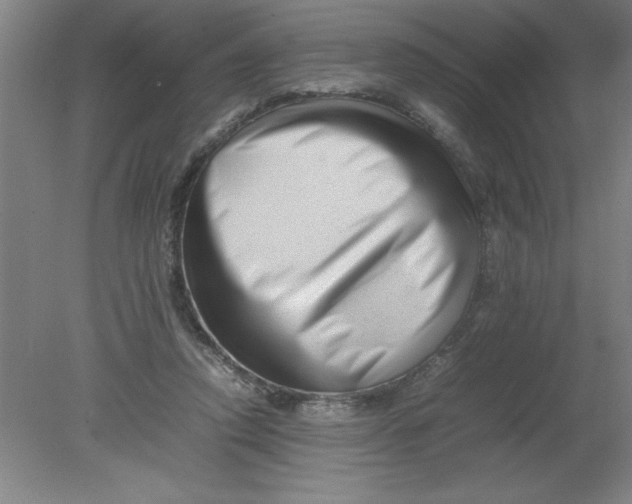 X0000080120354200612302016