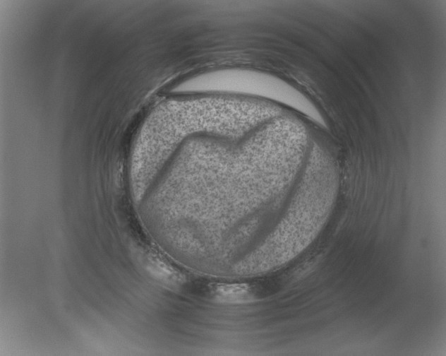 X0000080120355200612302016