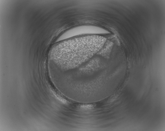 X0000080120357200612302016