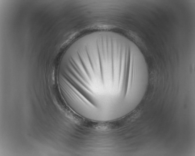 X0000080120358200612302016