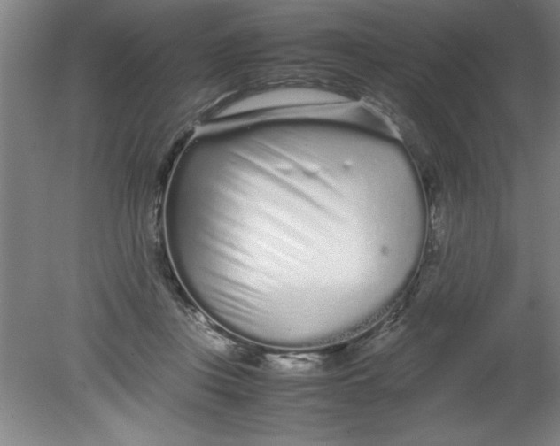 X0000080120359200612302016