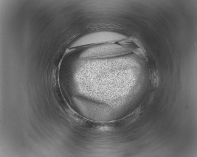 X0000080120360200612302016