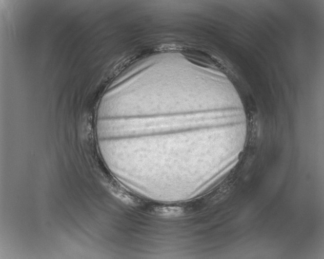 X0000080120361200612302016