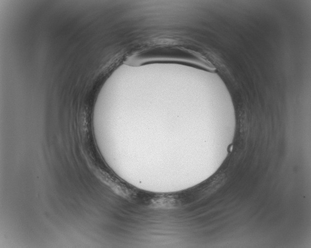 X0000080120362200612302016