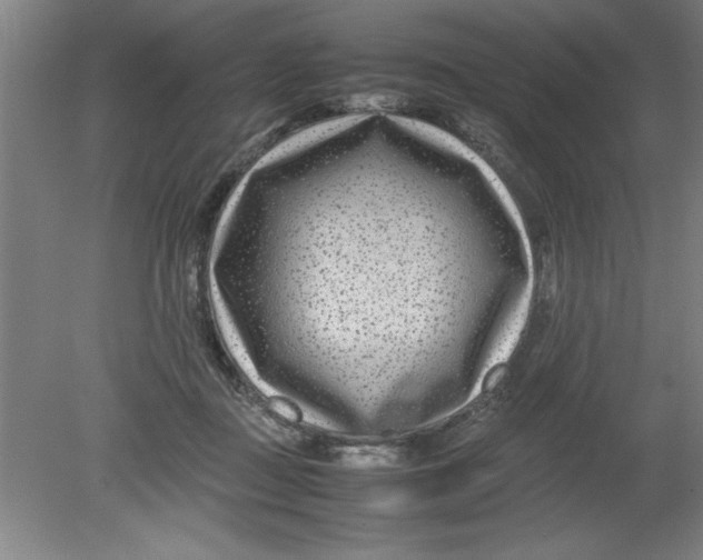 X0000080120363200612302016