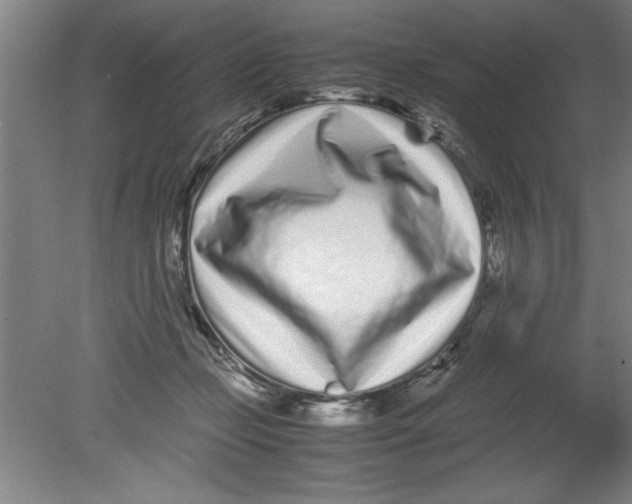 X0000080120365200612302016